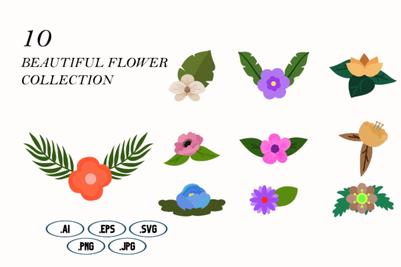 Download Beautiful Flower Collection - Beautiful flower Collection